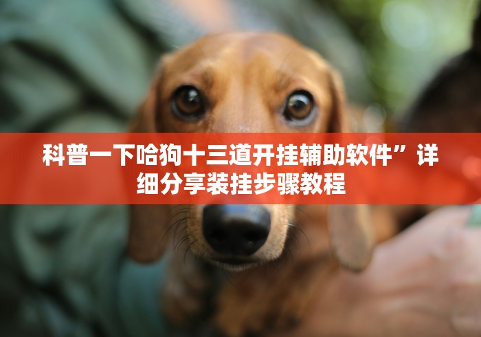 科普一下哈狗十三道开挂辅助软件”详细分享装挂步骤教程