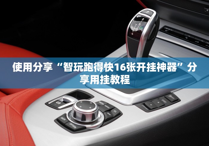 使用分享“智玩跑得快16张开挂神器”分享用挂教程