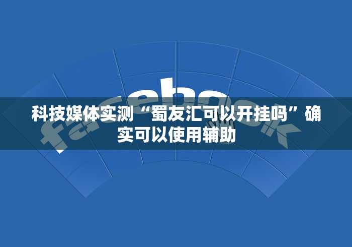 科技媒体实测“蜀友汇可以开挂吗”确实可以使用辅助