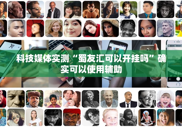 科技媒体实测“蜀友汇可以开挂吗”确实可以使用辅助