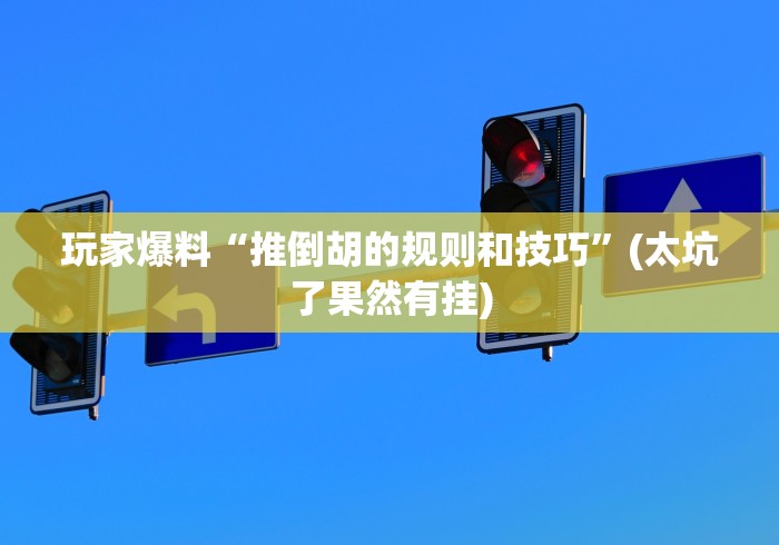 玩家爆料“推倒胡的规则和技巧”(太坑了果然有挂)