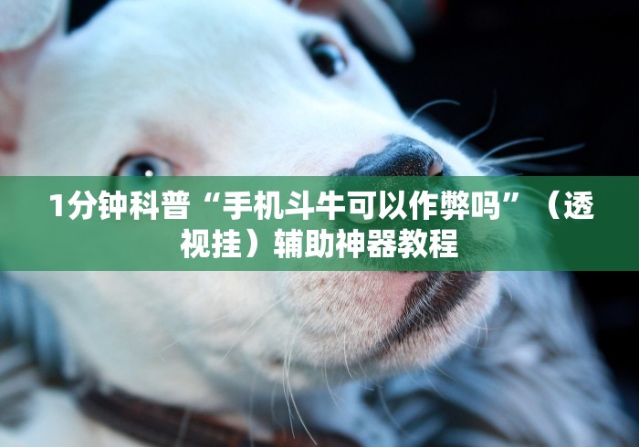 1分钟科普“手机斗牛可以作弊吗”（透视挂）辅助神器教程