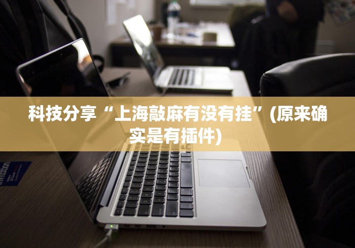 科技分享“上海敲麻有没有挂	”(原来确实是有插件) 