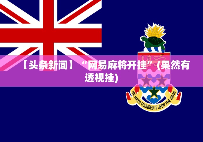 【头条新闻】“网易麻将开挂”(果然有透视挂)