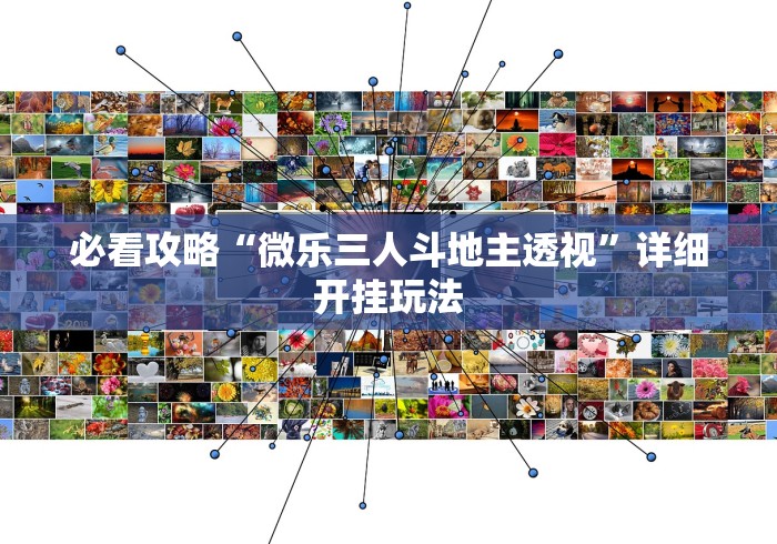 必看攻略“微乐三人斗地主透视”详细开挂玩法