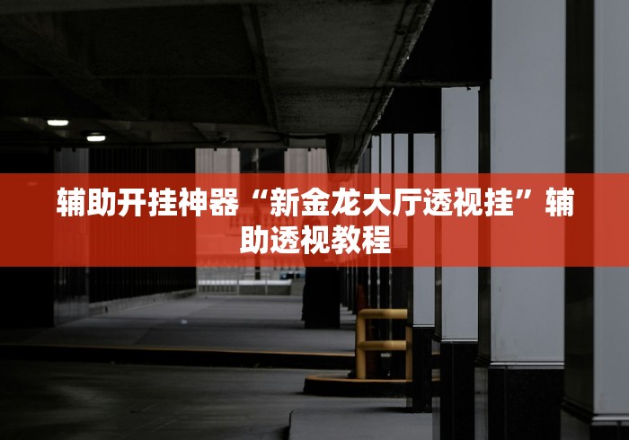 辅助开挂神器“新金龙大厅透视挂”辅助透视教程