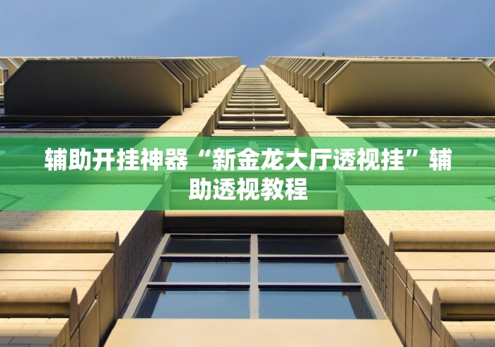 辅助开挂神器“新金龙大厅透视挂	”辅助透视教程