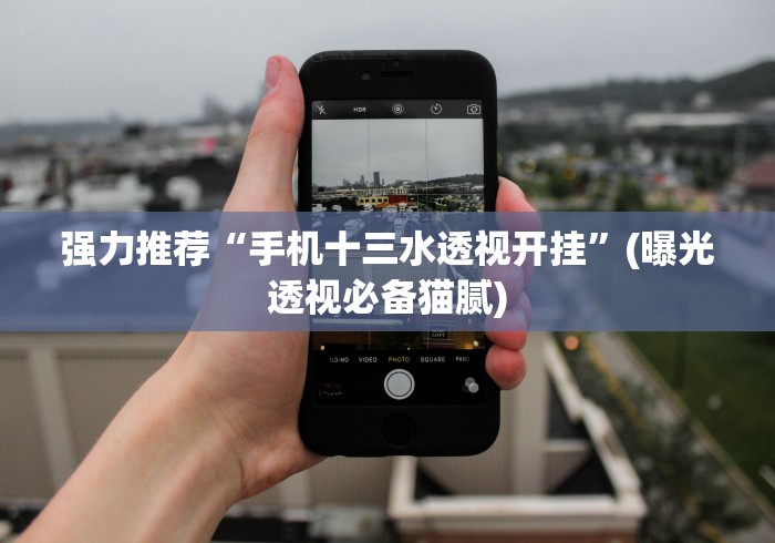 强力推荐“手机十三水透视开挂”(曝光透视必备猫腻)