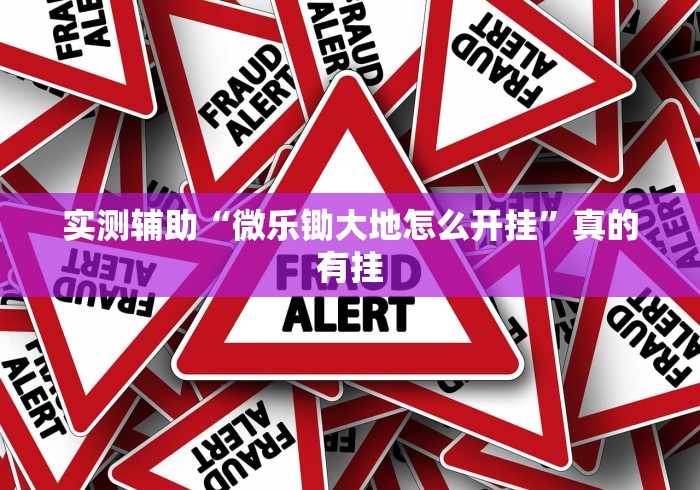 实测辅助“微乐锄大地怎么开挂”真的有挂