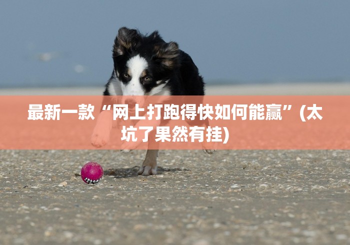 最新一款“网上打跑得快如何能赢”(太坑了果然有挂)