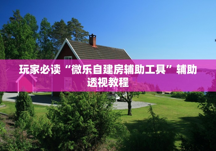 玩家必读“微乐自建房辅助工具”辅助透视教程