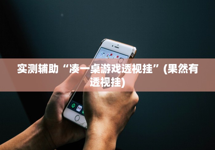 实测辅助“凑一桌游戏透视挂”(果然有透视挂)