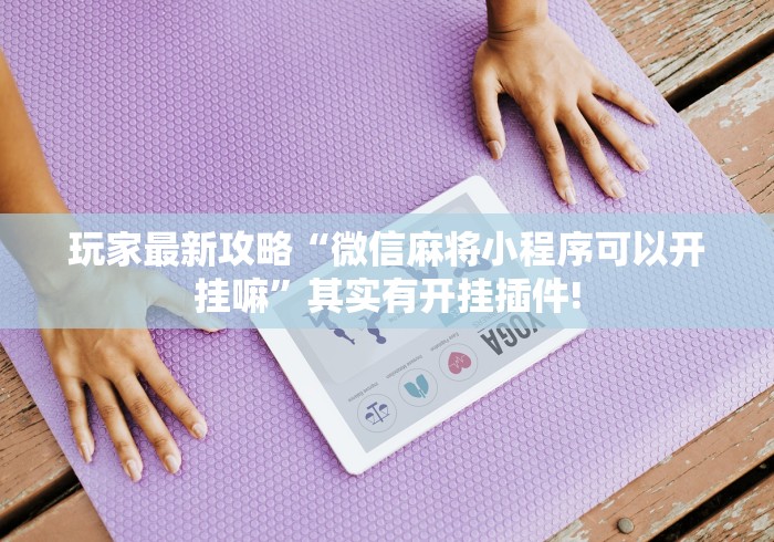 玩家最新攻略“微信麻将小程序可以开挂嘛”其实有开挂插件!