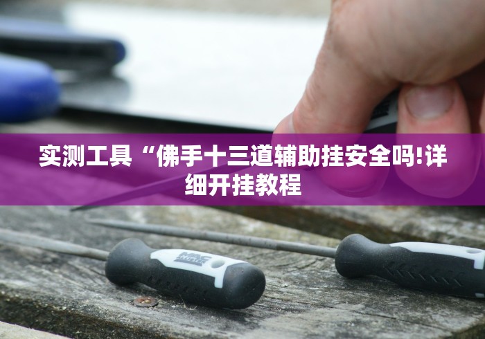 实测工具“佛手十三道辅助挂安全吗!详细开挂教程