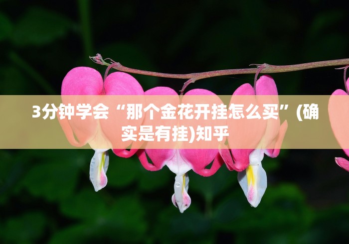 一分钟揭秘“手机十三水为什么一直输	”详细外挂安装步骤