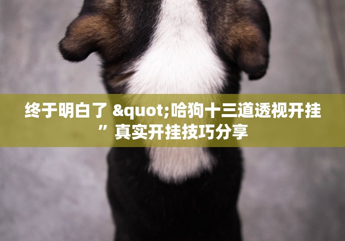 终于明白了 "哈狗十三道透视开挂	”真实开挂技巧分享