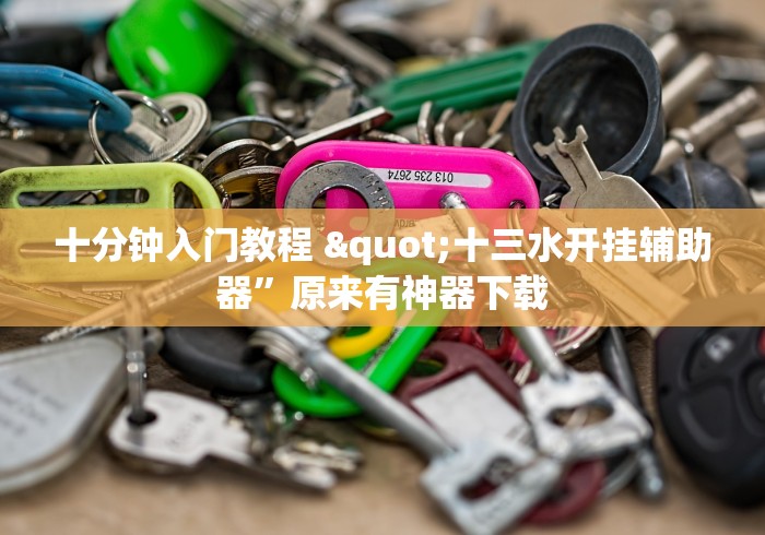 十分钟入门教程 "十三水开挂辅助器”原来有神器下载