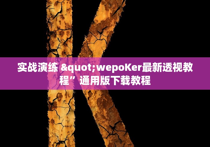 实战演练 "wepoKer最新透视教程”通用版下载教程