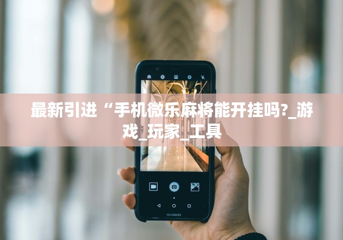 最新引进“手机微乐麻将能开挂吗?_游戏_玩家_工具 最新引进“手机微乐麻将能开挂吗?_游戏_玩家_工具