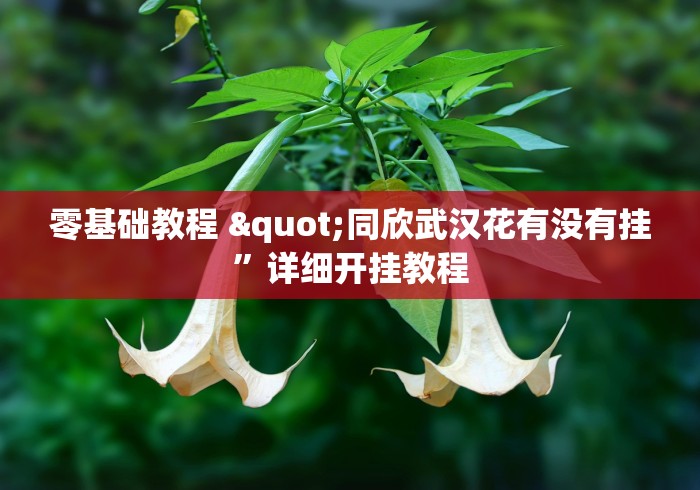 零基础教程 "同欣武汉花有没有挂”详细开挂教程