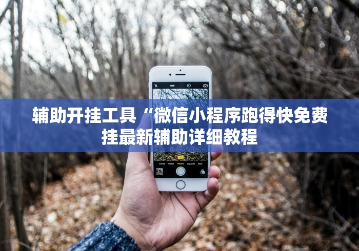 辅助开挂工具“微信小程序跑得快免费挂最新辅助详细教程