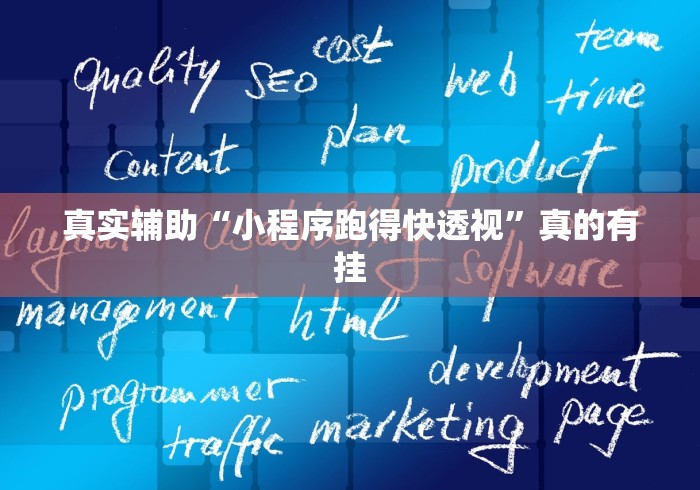真实辅助“小程序跑得快透视”真的有挂
