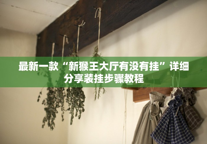 最新一款“新猴王大厅有没有挂”详细分享装挂步骤教程