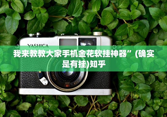 最新引进“微乐填大坑开挂辅助器”(原来确实是有插件)