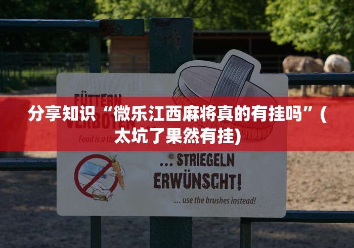 分享知识“微乐江西麻将真的有挂吗”(太坑了果然有挂)