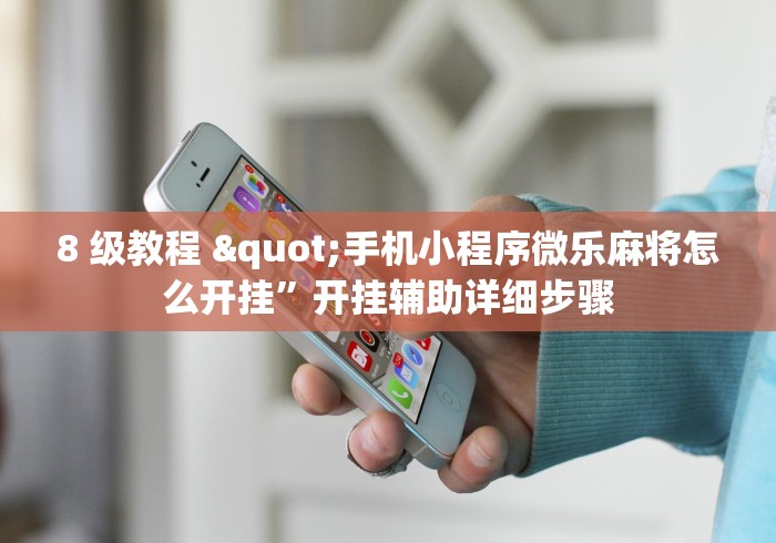 8 级教程 "手机小程序微乐麻将怎么开挂”开挂辅助详细步骤
