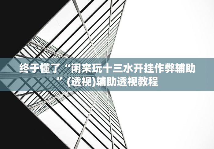 终于懂了“闲来玩十三水开挂作弊辅助”(透视)辅助透视教程