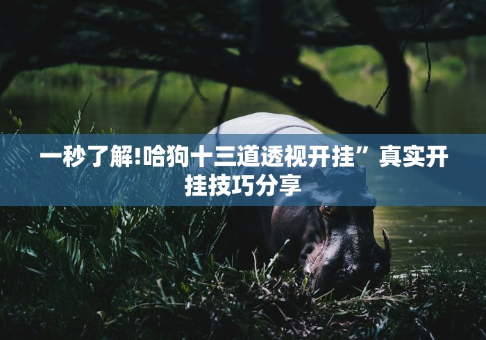 【第一攻略】“贵州微乐麻将外卦神器下载安装”详细开挂玩法