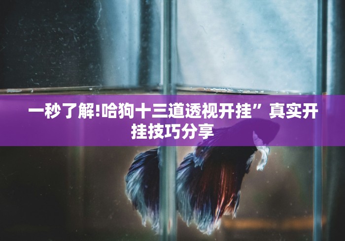 独家脚本实测“微乐云南麻将为什么一直输”详细分享装挂步骤教程