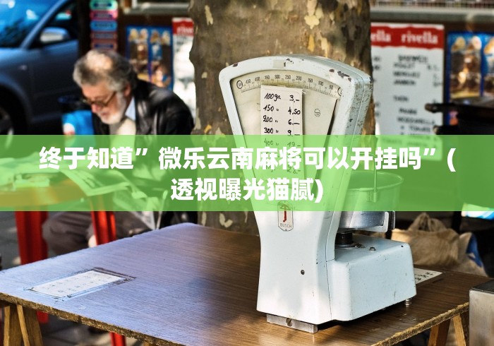 【终于出现】“微乐家乡麻将万能开挂器	”-原来有挂