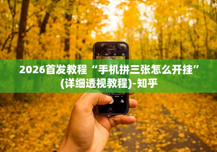 良心软件推荐 "十三张辅助器怎么下载”(透视)其实确实有挂