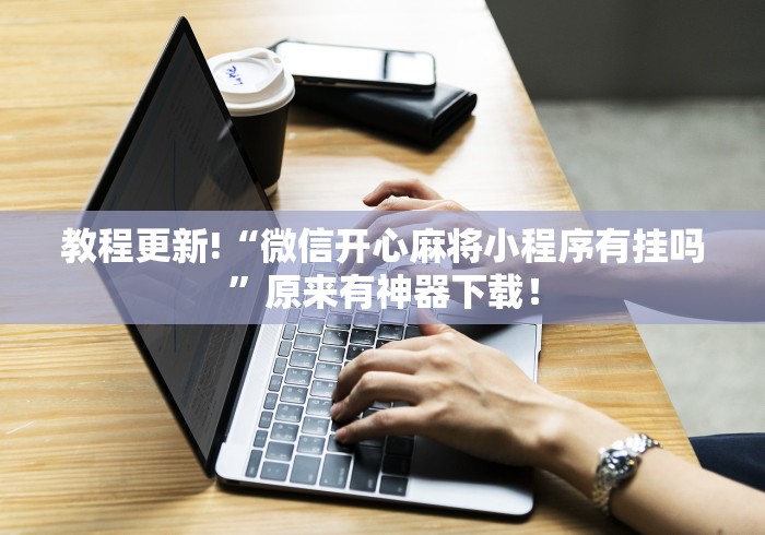 强烈推荐 "中至余干辅助”(原来确实是有挂) 