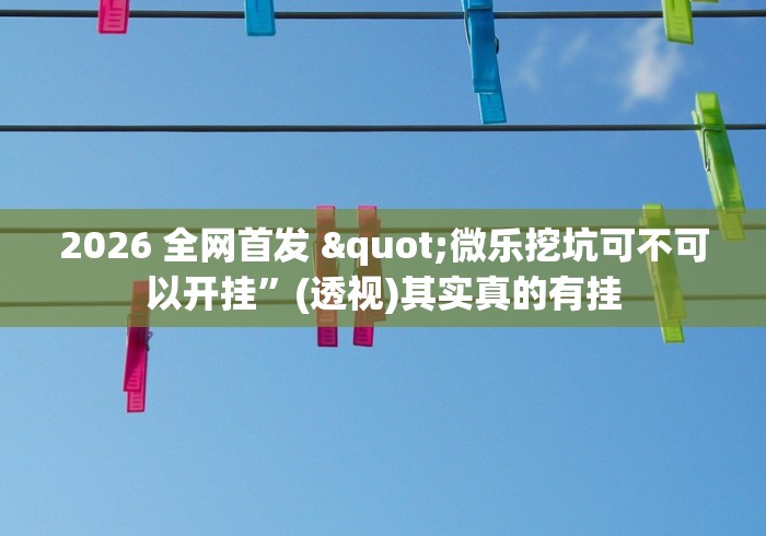 解析分享“牵手跑胡子作弊教程”(透视)开挂辅助脚本+详细开挂安装教程