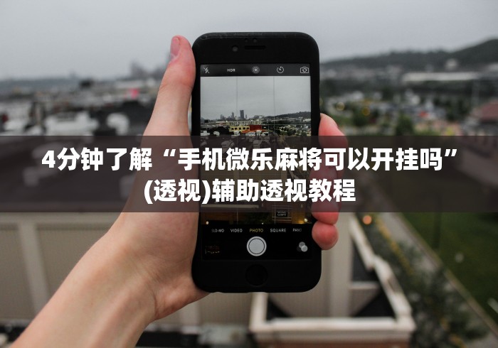 30 秒速览 "微乐河北麻将万能开挂器”开挂神器{透视辅助}全揭秘