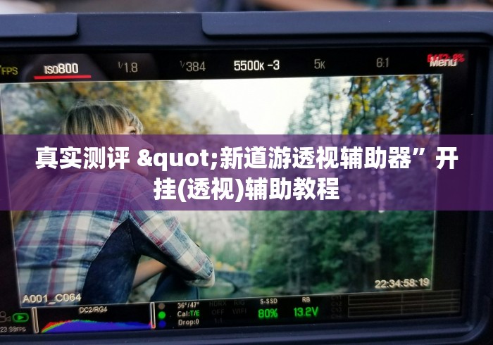 真实测评 "新道游透视辅助器”开挂(透视)辅助教程