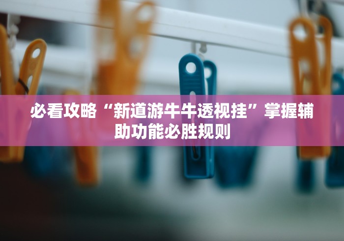 必看攻略“新道游牛牛透视挂”掌握辅助功能必胜规则