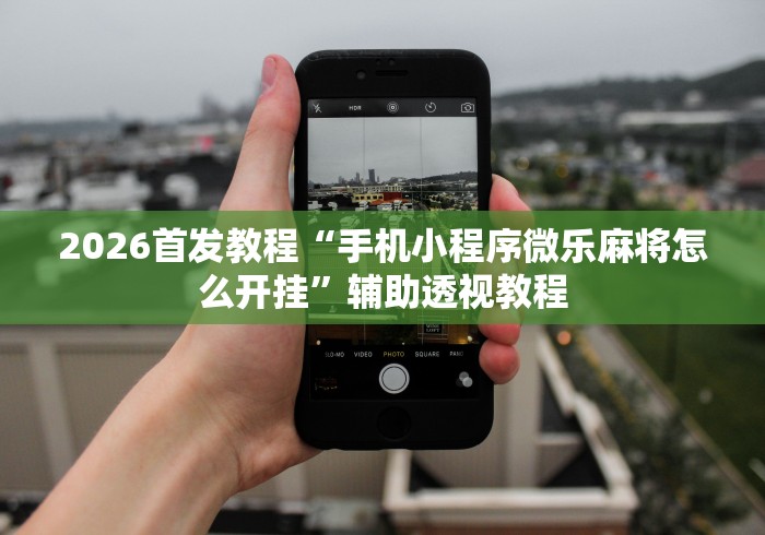2026首发教程“手机小程序微乐麻将怎么开挂”辅助透视教程