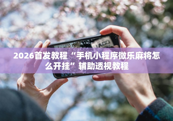 2026首发教程“手机小程序微乐麻将怎么开挂”辅助透视教程