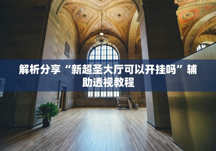 解析分享“新超圣大厅可以开挂吗”辅助透视教程