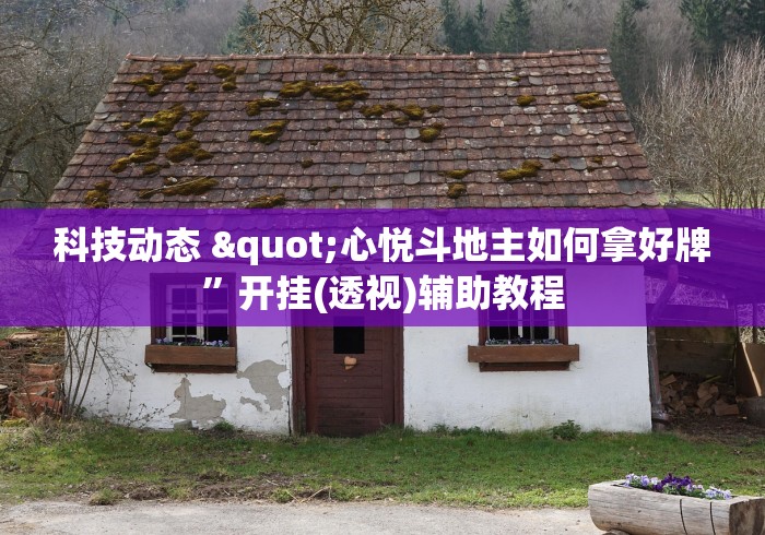科技动态 "心悦斗地主如何拿好牌”开挂(透视)辅助教程