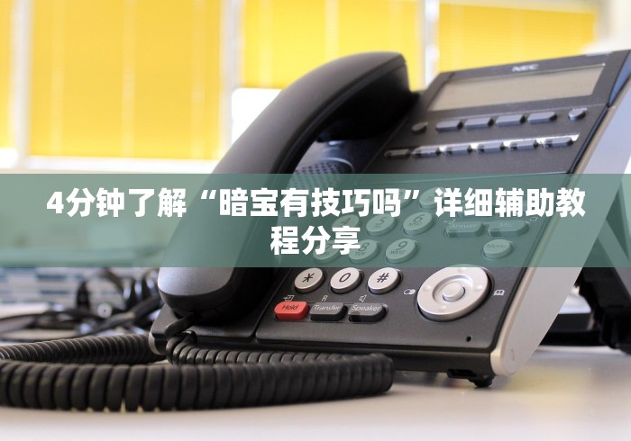 4分钟了解“暗宝有技巧吗”详细辅助教程分享