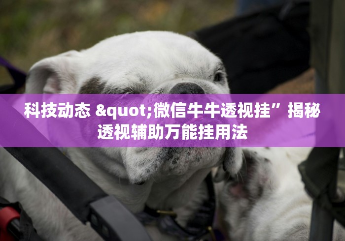 科技动态 "微信牛牛透视挂”揭秘透视辅助万能挂用法