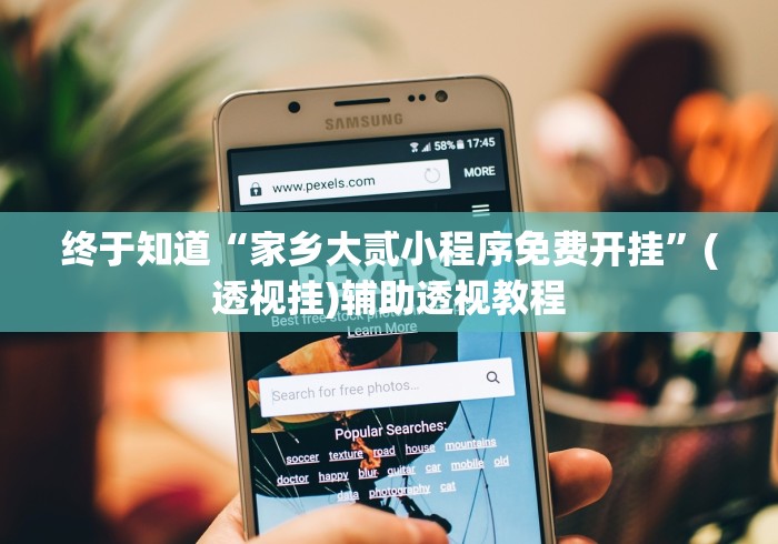 终于知道“家乡大贰小程序免费开挂”(透视挂)辅助透视教程