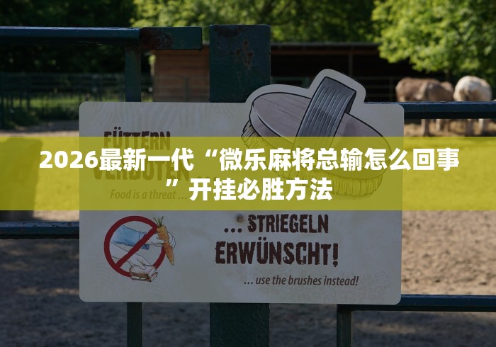 2026最新一代“微乐麻将总输怎么回事”开挂必胜方法