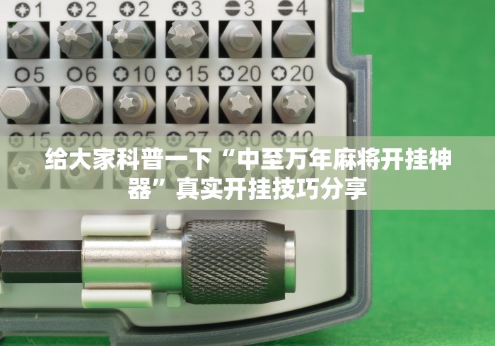 给大家科普一下“中至万年麻将开挂神器”真实开挂技巧分享