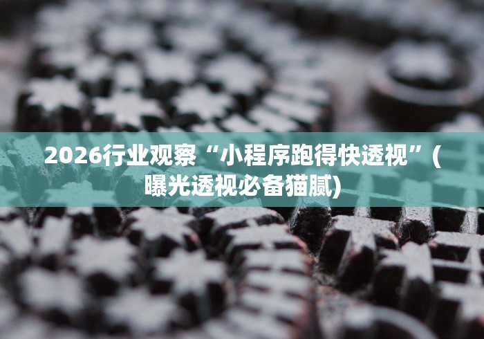 2026行业观察“小程序跑得快透视”(曝光透视必备猫腻)